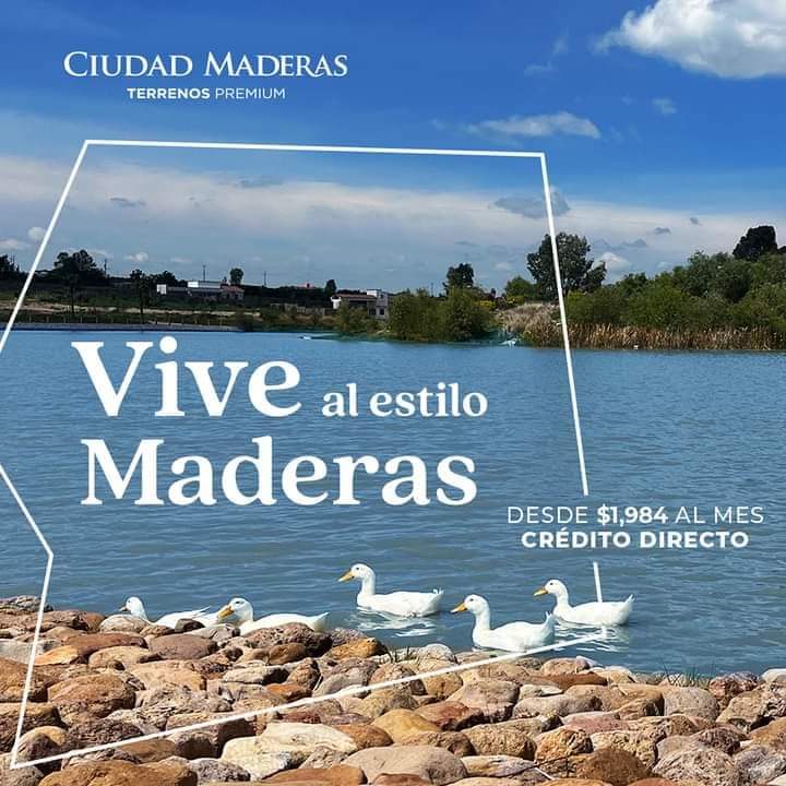 Actualmente contamos con desarrollos en los estados de
Querétaro, Guanajuato, Jalisco, San Luis Potosí, Yucatán
y Quintana Roo.

#padres #tijuanainversionistas #sandiegoinversionistas #descubrecm