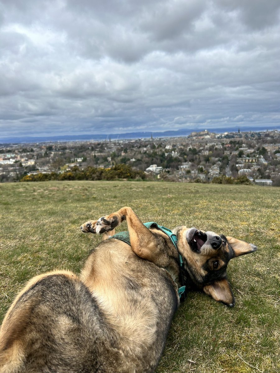 She’s really impressed by the view