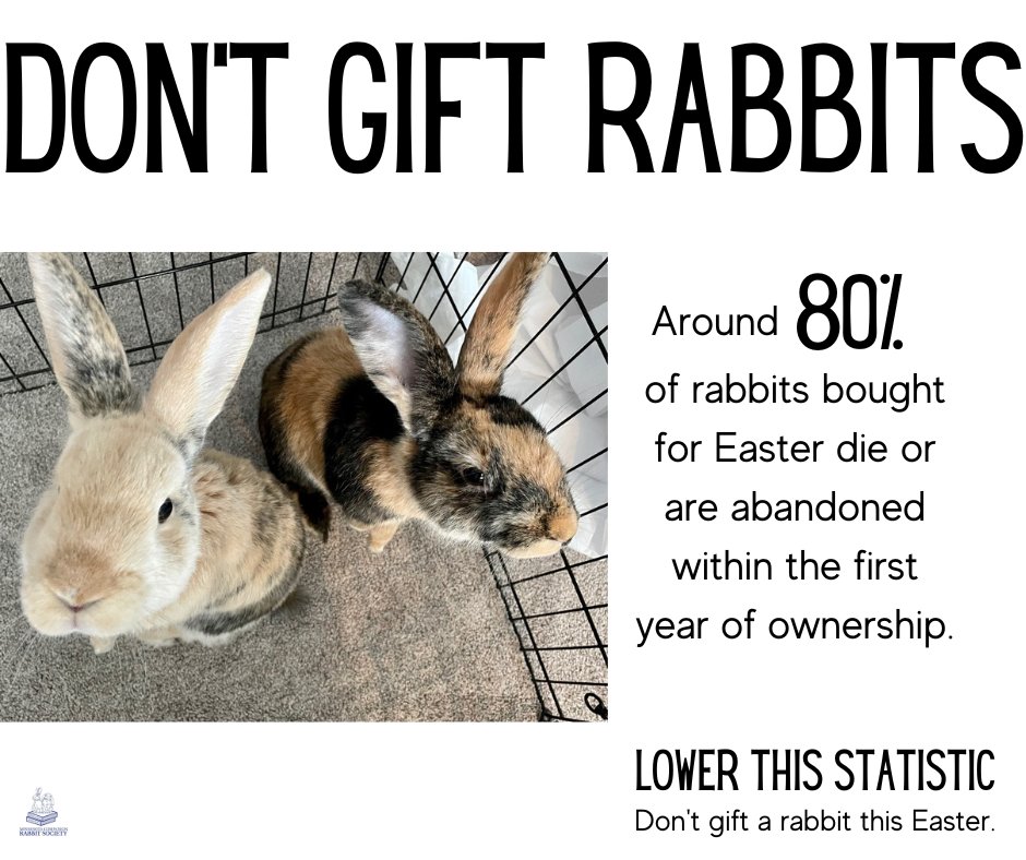 MNRabbitSociety's tweet photo. Easter is coming - help us save rabbit lives. Spread the word, rabbits are NOT gifts!
Around 80% of rabbits bought for Easter die or are abandoned within the first year of ownership.
If you are interested in adopting a rabbit, please contact us!

#mcrs #adopt #Easter2023 #rabbit https://t.co/juQrl00JyQ