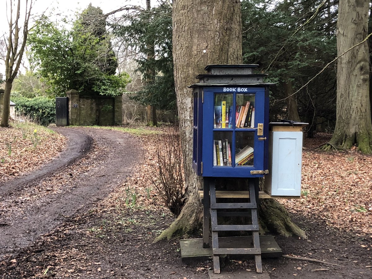 ruththompson100's tweet image. Look what sprouted up on a walk in Aberdour today 🥰 #bookbox  @booktwitter