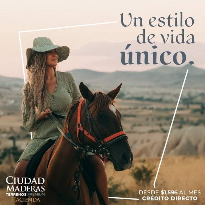Actualmente contamos con desarrollos en los estados de
Querétaro, Guanajuato, Jalisco, San Luis Potosí, Yucatán
y Quintana Roo.

#padres #tijuanainversionistas #sandiegoinversionistas #descubrecm