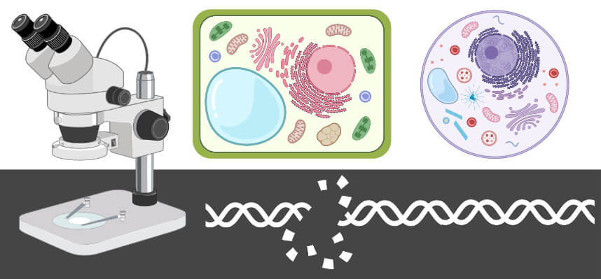 The Biology Notes is a great resource for undergraduate and graduate students. buff.ly/3uY1L5U
