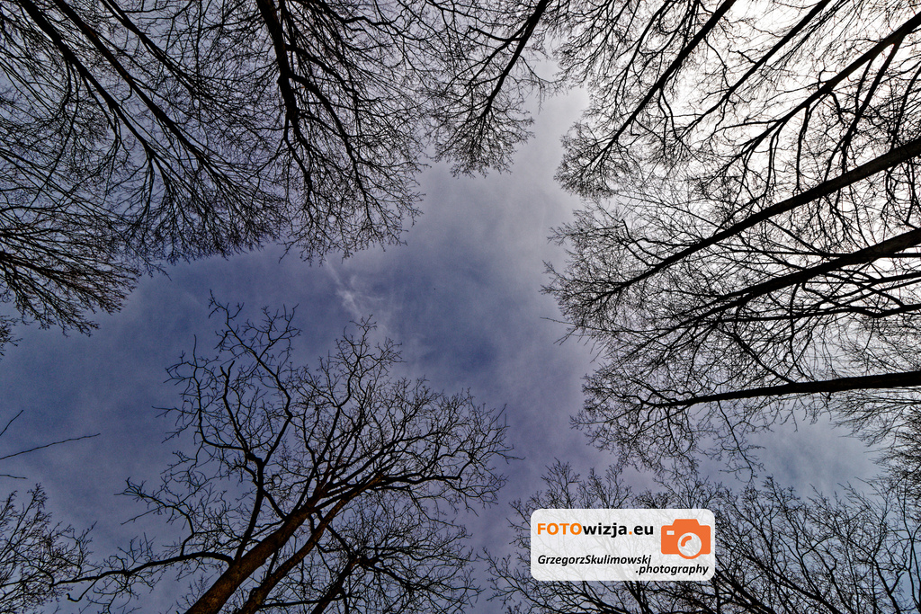 SGJPhotography's tweet photo. https://t.co/WyFJ0sFVrE https://t.co/CqAmBXB8Hp