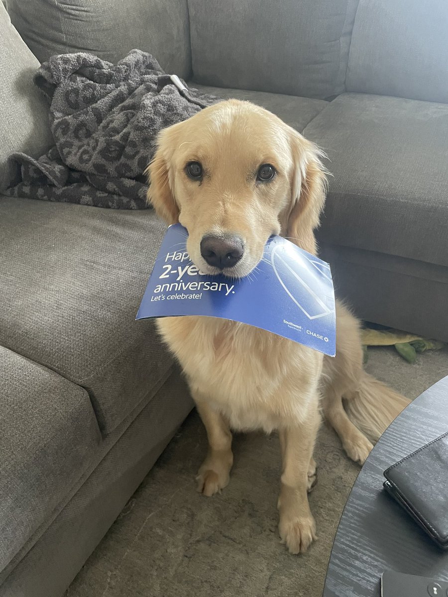 RyanDunn_6's tweet photo. @SouthwestAir someone is very excited about 2 year anniversary bonus points https://t.co/g8rWpF4xBz
