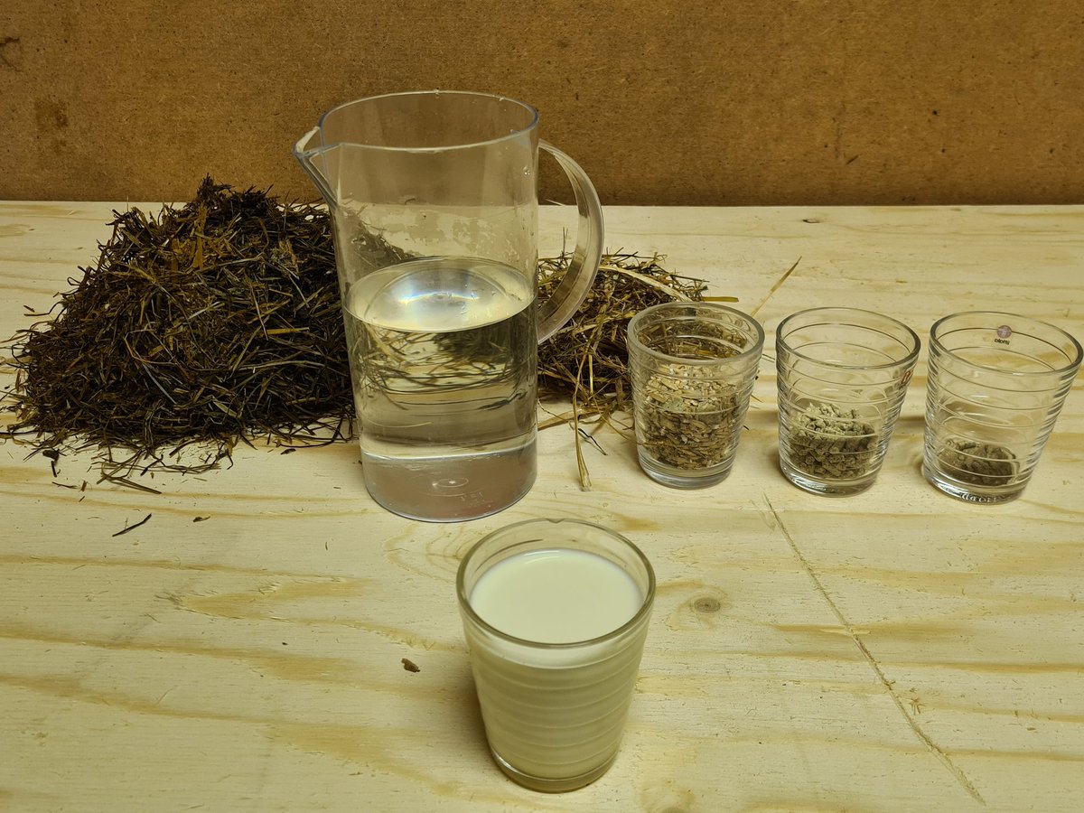 Näillä eväillä lasillinen luomumaitoa, jossa 4,8% prot ja 3,7% valk. 340 gr säilörehua ja hiukan olkea, 46 gr viljasekoitusta omalta pellolta. Kotimaista väkirehua 20 gr jossa härkäpapua, hernettä ja viljaa. Lisäksi vähän kivennäisiä. Ja vettä vajaa litra. Lehmä on aika peli!