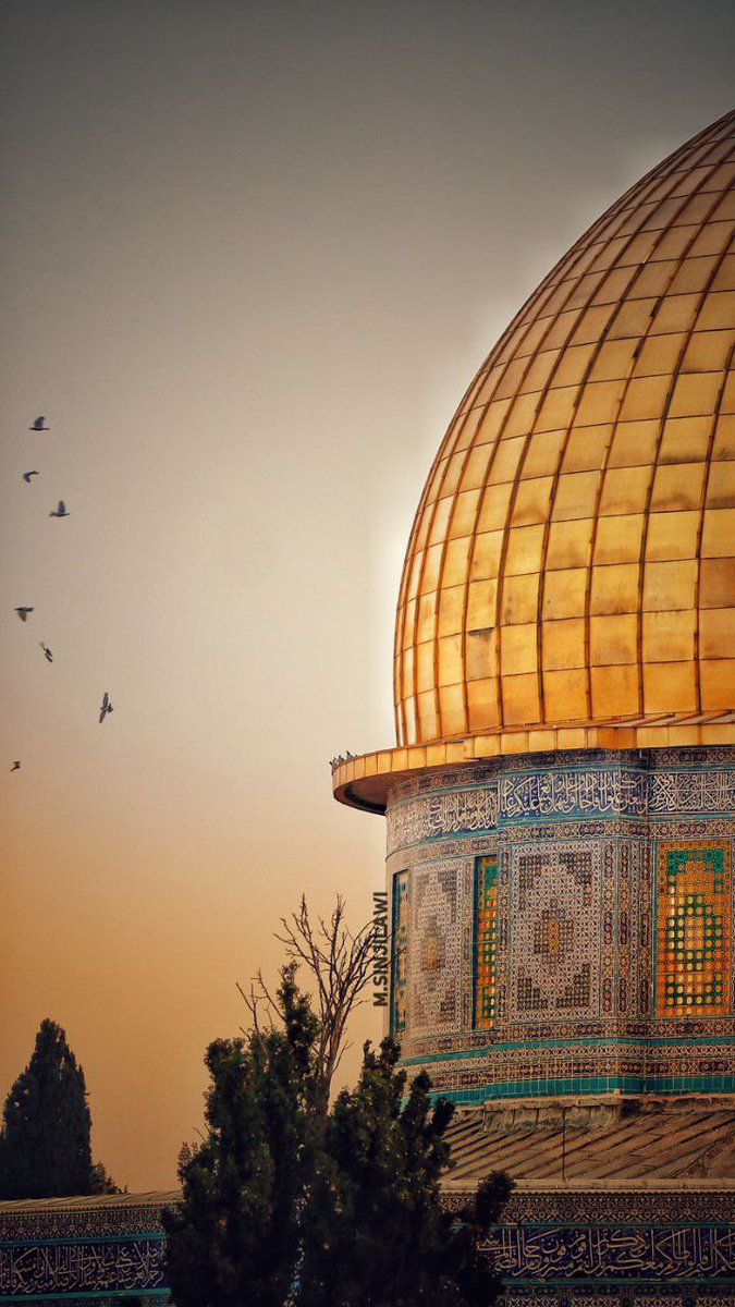 - Hasretin resmi olur mu? 

+ Tabi ki olur...