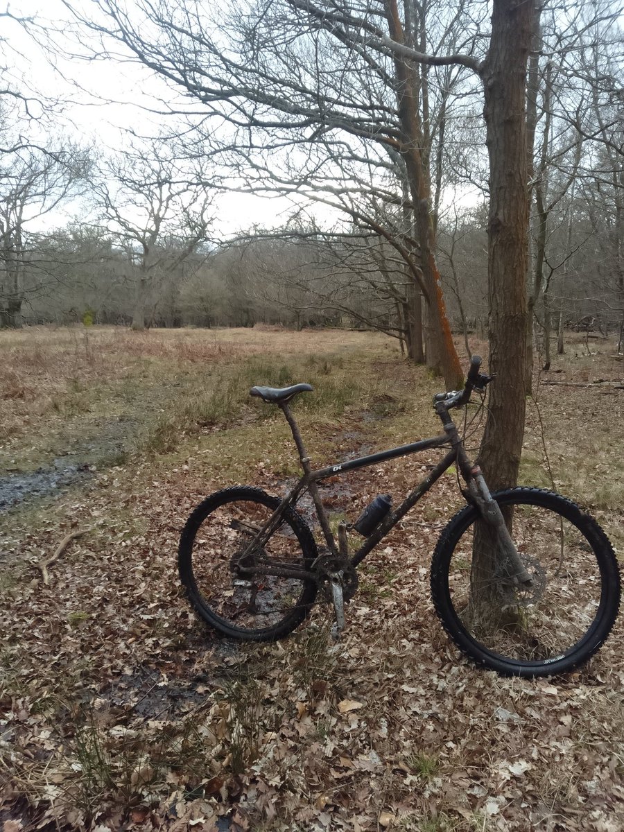 IJH_1's tweet photo. Amazing how empty a lot of Epping Forest is even on a Sunday afternoon - went through whole swathes without seeing anothet person, possibly because of the mud! @CoLEppingForest https://t.co/wD7CSZzaiN