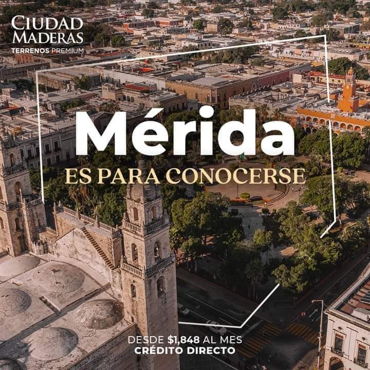 Actualmente contamos con desarrollos en los estados de
Querétaro, Guanajuato, Jalisco, San Luis Potosí, Yucatán
y Quintana Roo.

#padres #tijuanainversionistas #sandiegoinversionistas #descubrecm