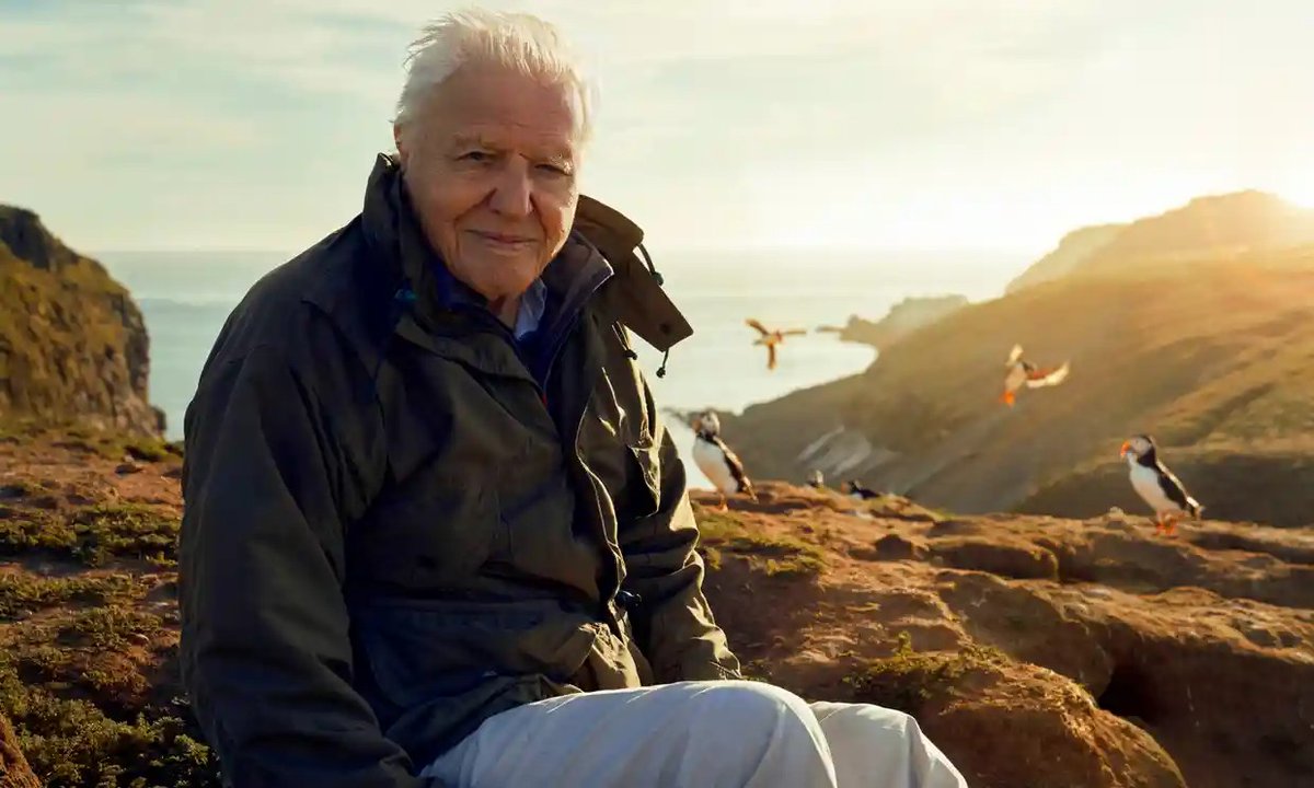 For those in the UK - don't miss the second episode of <a href="/WildIsles/">WildIsles</a>  tonight at 7pm, narrated by the legendary #SirDavidAttenborough. I had the incredible opportunity to work on a segment showcasing the fascinating world of fungi, alongside the talented creators at <a href="/hellocharliehq/">Hello Charlie</a>