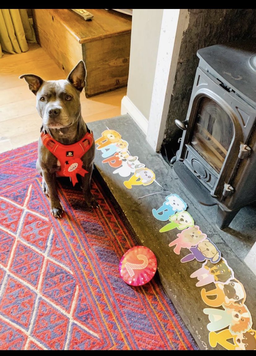 Isa"s Nanny tweet media