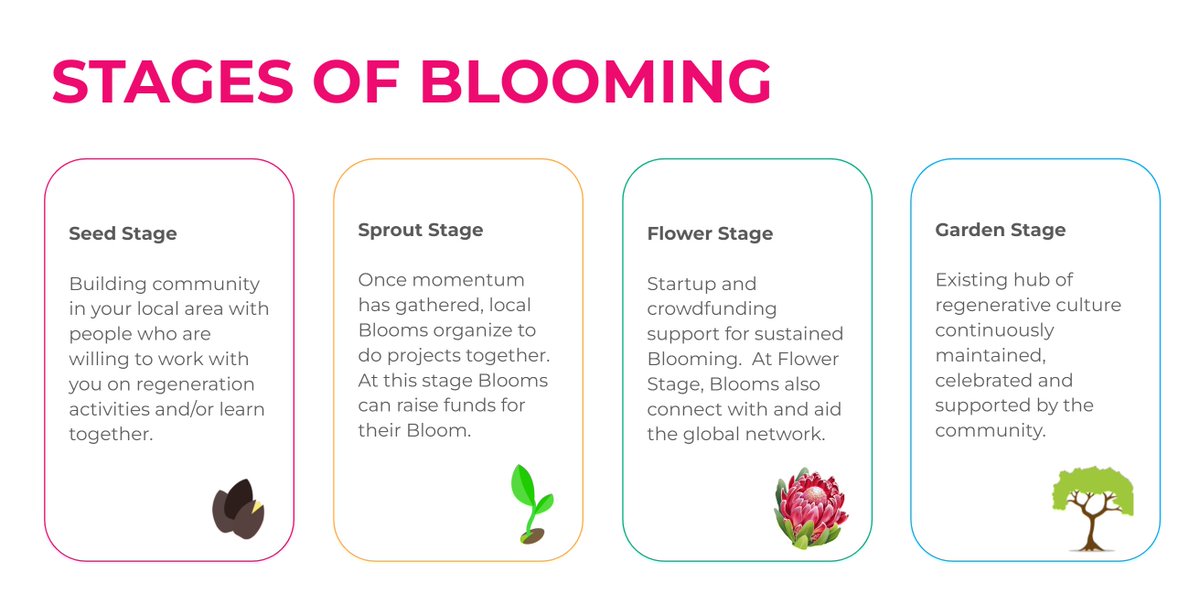 OurBloomNetwork's tweet photo. Every Bloom goes through these stages of Blooming. Which stage is your Local Bloom in? ๐ฑ
#CallToBloom https://t.co/L5JWpgBbAU