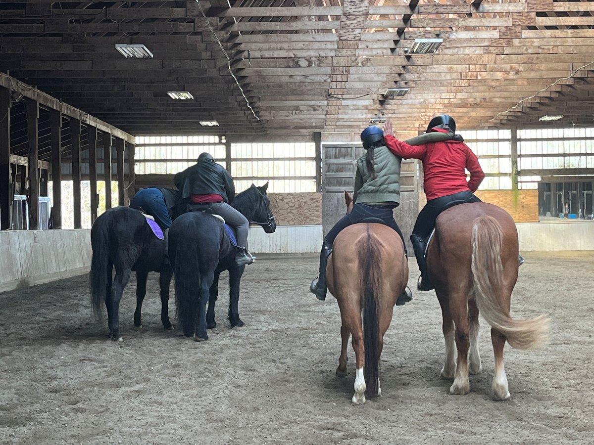 jmlandels's tweet photo. Some pics from Mounted Combat class. The last one is the response to the Fiore plate -- ie, what to do when you're grabbed from behind. #mountedcombat #rossfechten #fioredeiliberi #fiore https://t.co/oOjOSpnd4c