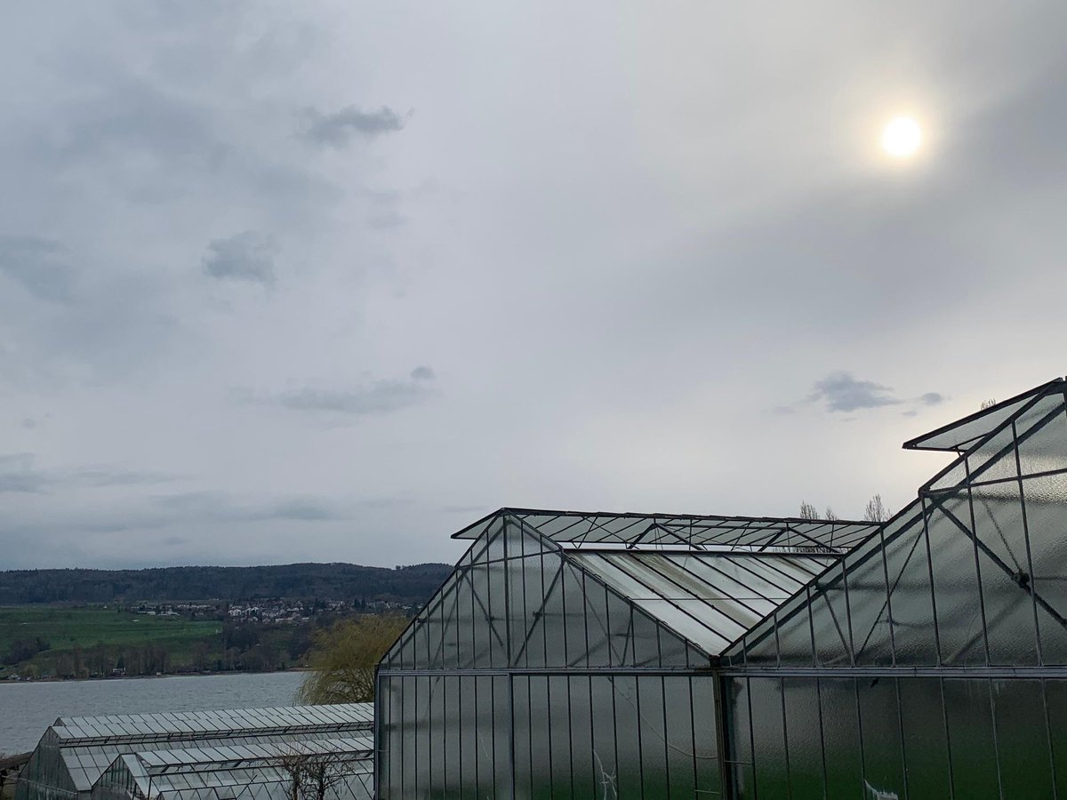 meteoschweiz's tweet image. Im heutigen #Blog bit.ly/3JQRbWo erfahren Sie mehr über die Bewohner des mittleren Stockwerks: #Altocumulus, #Altostratus und #Nimbostratus sind Wolken mit unterschiedlichen Charakteren und Aussehen. Bild: Reichenau, Meteomeldung/App