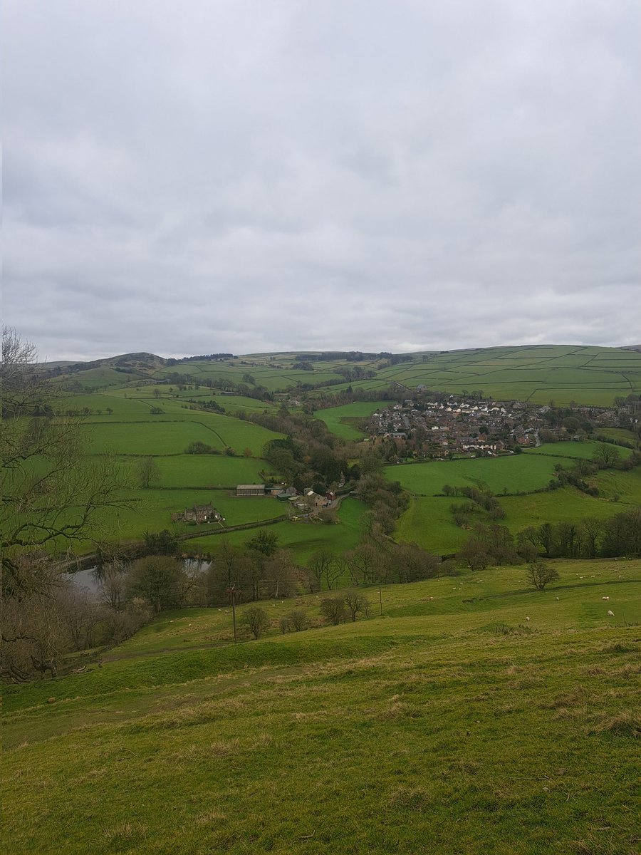 MarekPeruta tweet media