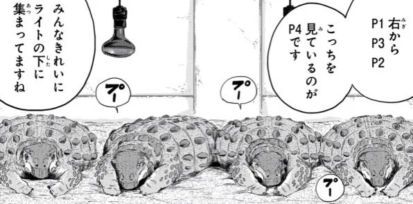 バンチ最新号の告知しまくりたいところですが、夜分なので朝になったら投下していきたいと思います。  おやすみなさい。😴