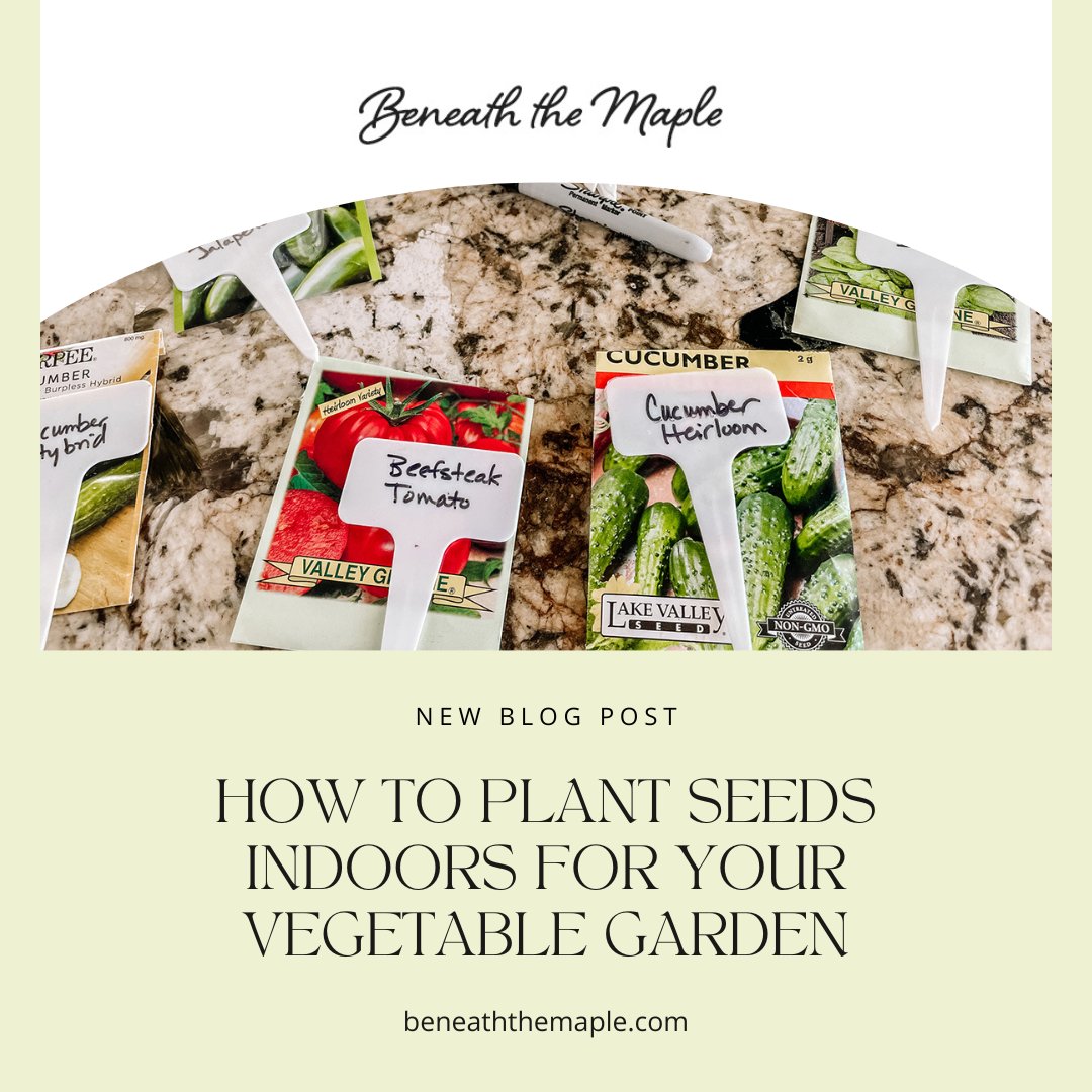 BeneathMaple's tweet photo. Planting your own fruits and veggies is a satisfying experience that you can start today! 🌱 Check out our new blog post, and learn how to plant vegetable seeds indoors for your garden early this spring.⁠ https://t.co/HwnR1dqtYu  #plantingseedsindoors #gardenblog

⁠ https://t.co/D7uQ3wc6d5