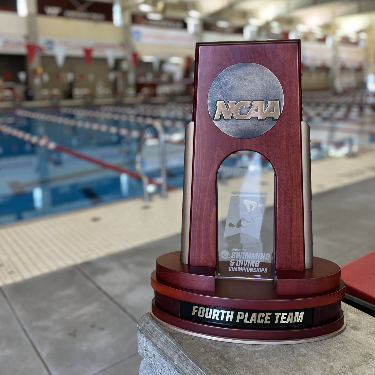 LouisvilleSD's tweet image. Home sweet home 🫶

#GoCards