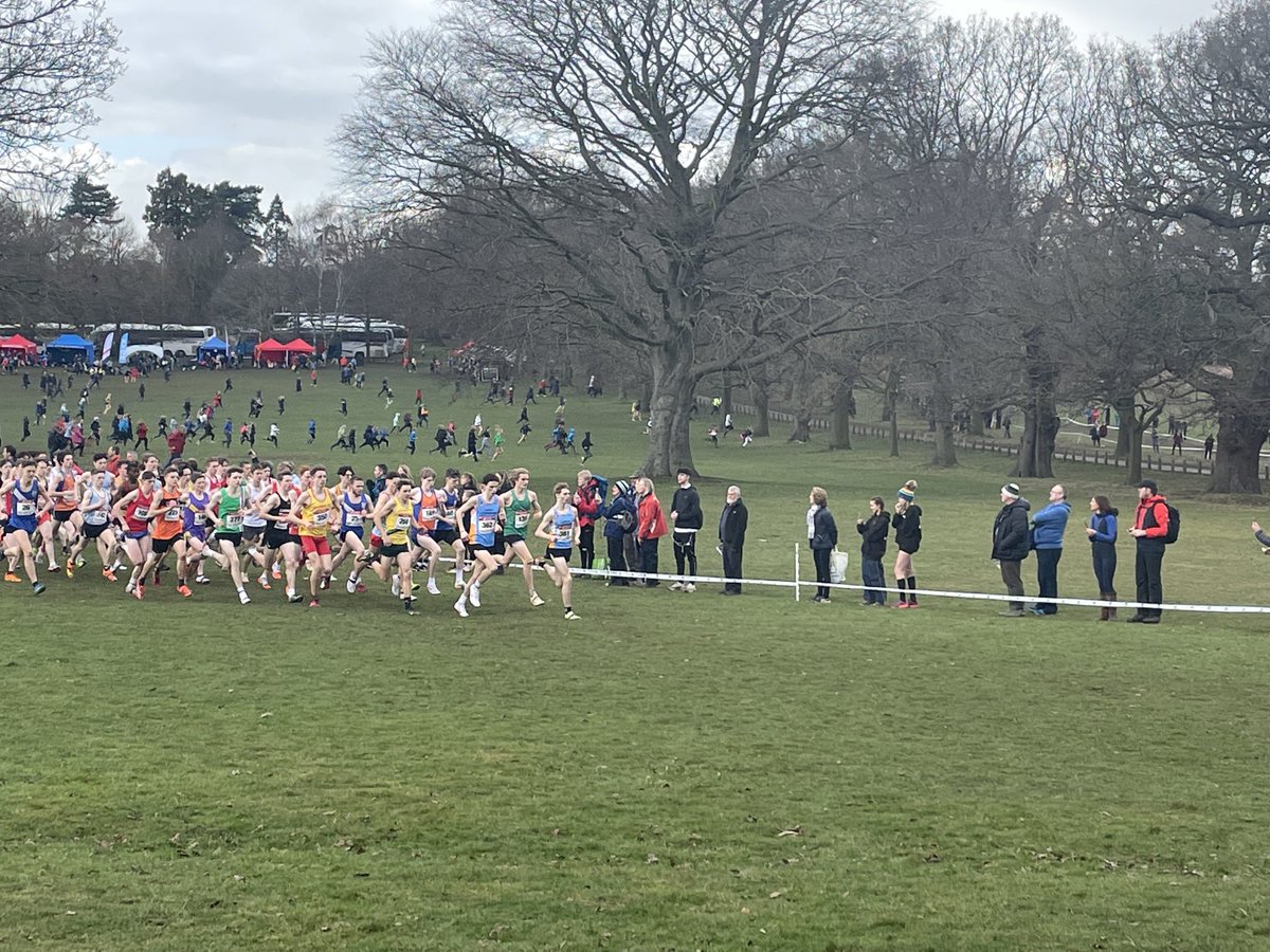 michaelmastrolonardo 🇺🇦 tweet media