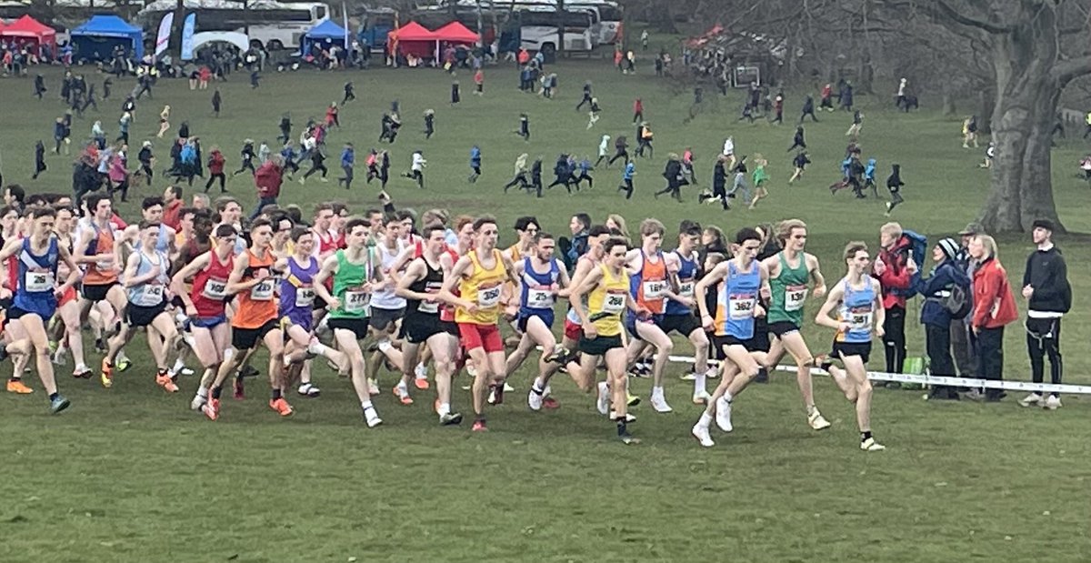 michaelmastrolonardo 🇺🇦 tweet media