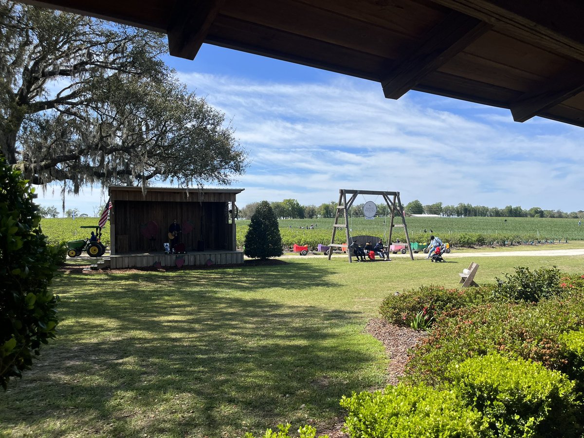 alexhaleygr's tweet photo. Got to spend this Sunday picking #FloridaFresh strawberries in beautiful Williston, Fl🍓 https://t.co/eHvN9Xw0Ky