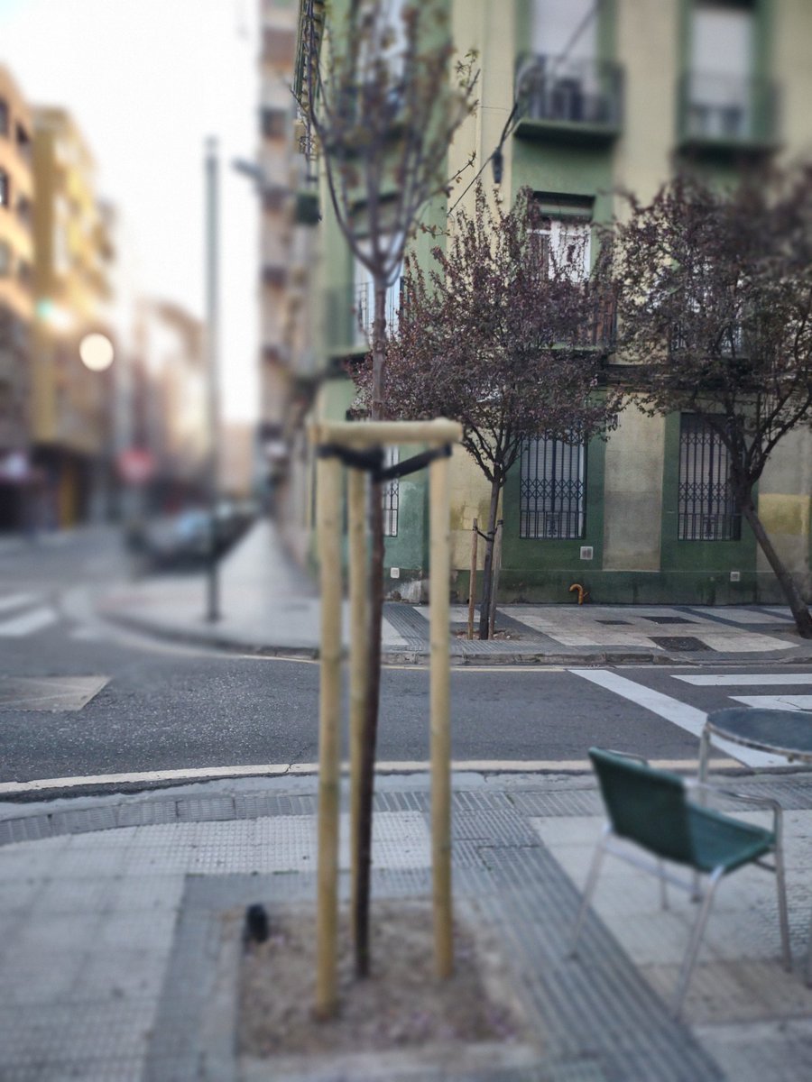 Ziudadana23's tweet photo. Pues casi 5 años después y poco antes de las #elecciones, volvemos a tener un #árbol en esta esquina de la #CallePrincesa
#Zaragoza
Ojalá hubiera elecciones todos los años... https://t.co/aD7Q3fxyHB