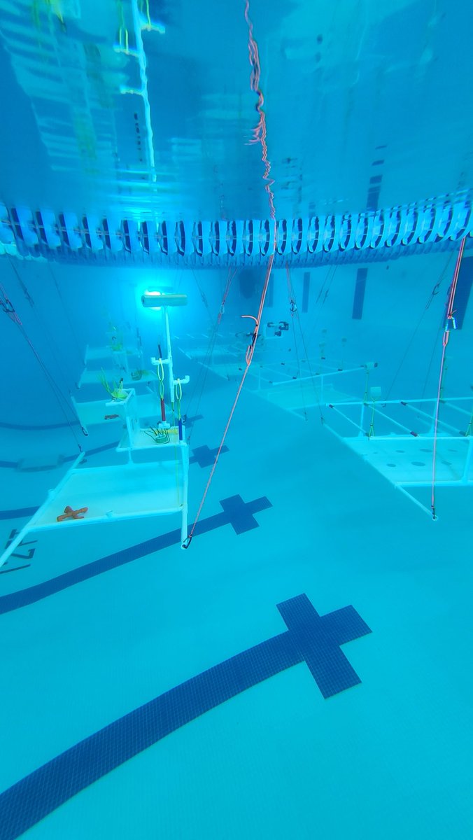 dotsciguy's tweet photo. In the water w/  30 teams from SE Wisconsin as they made their way to @StFrancisSDWI to participate in our 5th annual @seaperch qualifier.  Thanks to the @USNavy, @NavyLeagueUS and @LeonardoDRSnews for your continued support. #omgrobots #hardestfunever https://t.co/0ipKkVPpeQ