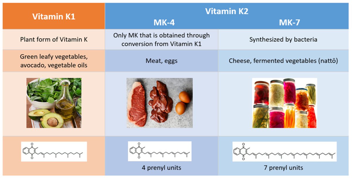 Vitamin K2 The neglected vitamin with antioxidants, bone healthimproving, endothelial health