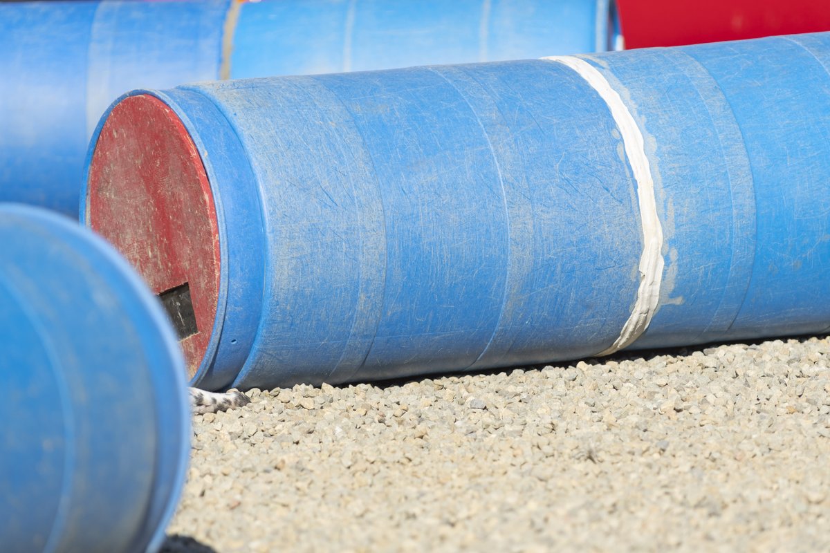 searchdogfdn's tweet image. We know these search dogs can find hidden people, but can you find the hidden search dogs? Locate the pup hidden among the rubble in each photo, and comment when you've found them all! ✔️ 🔎

#justforfun #searchdogs #🔍