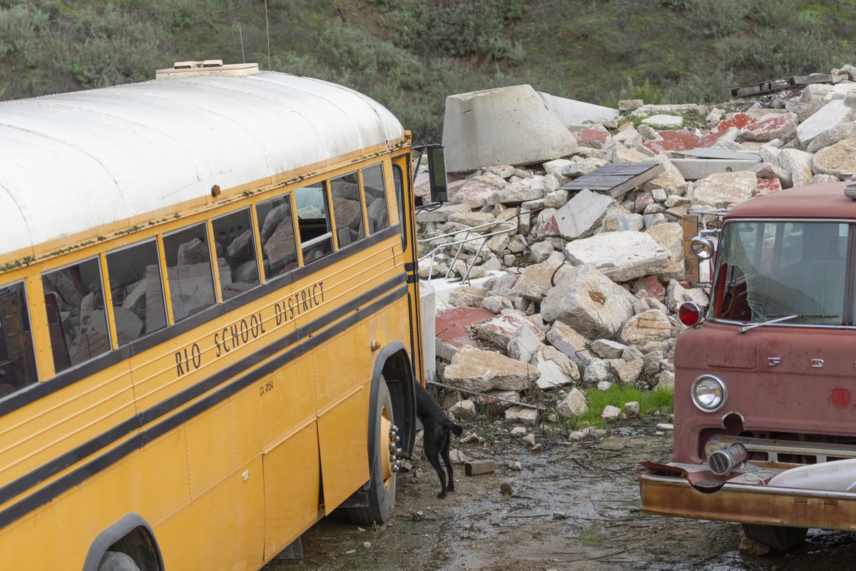 searchdogfdn's tweet image. We know these search dogs can find hidden people, but can you find the hidden search dogs? Locate the pup hidden among the rubble in each photo, and comment when you've found them all! ✔️ 🔎

#justforfun #searchdogs #🔍