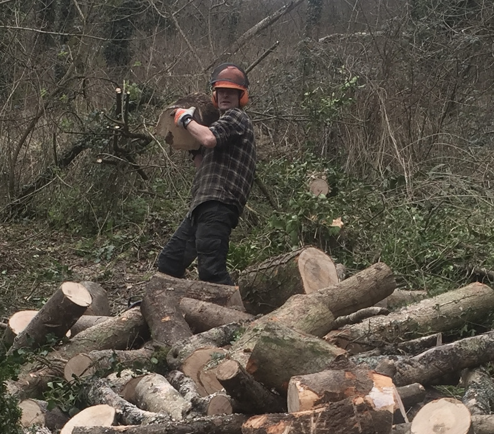 AlistairChisho4's tweet photo. Decent workout in the woods, clearing some wind felled ash that succumbed to ash dieback. These trees are going to be replaced with more natives, but also sweet chestnut and Walnut as part of the climate change adaption plan for the woods. https://t.co/qyXyF4kZqX