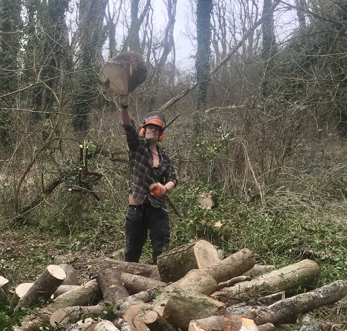 AlistairChisho4's tweet photo. Decent workout in the woods, clearing some wind felled ash that succumbed to ash dieback. These trees are going to be replaced with more natives, but also sweet chestnut and Walnut as part of the climate change adaption plan for the woods. https://t.co/qyXyF4kZqX
