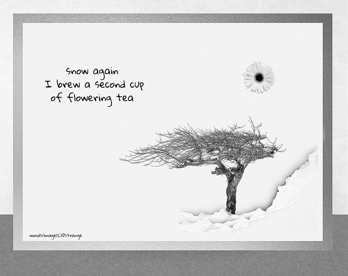 Debbie Strange archive of selected published©️work tweet media