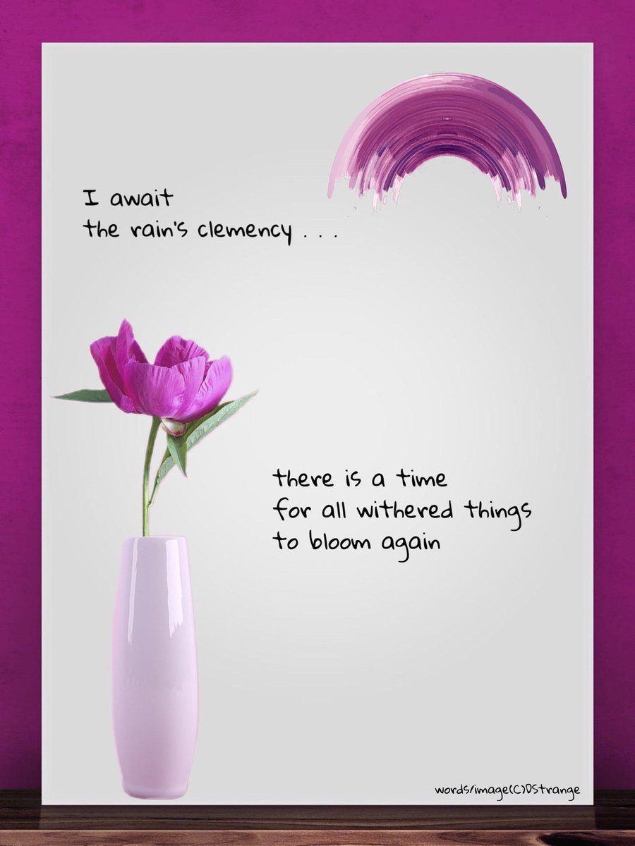 Debbie Strange archive of selected published©️work tweet media