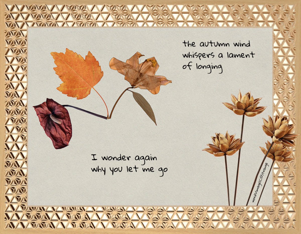 Debbie Strange archive of selected published©️work tweet media