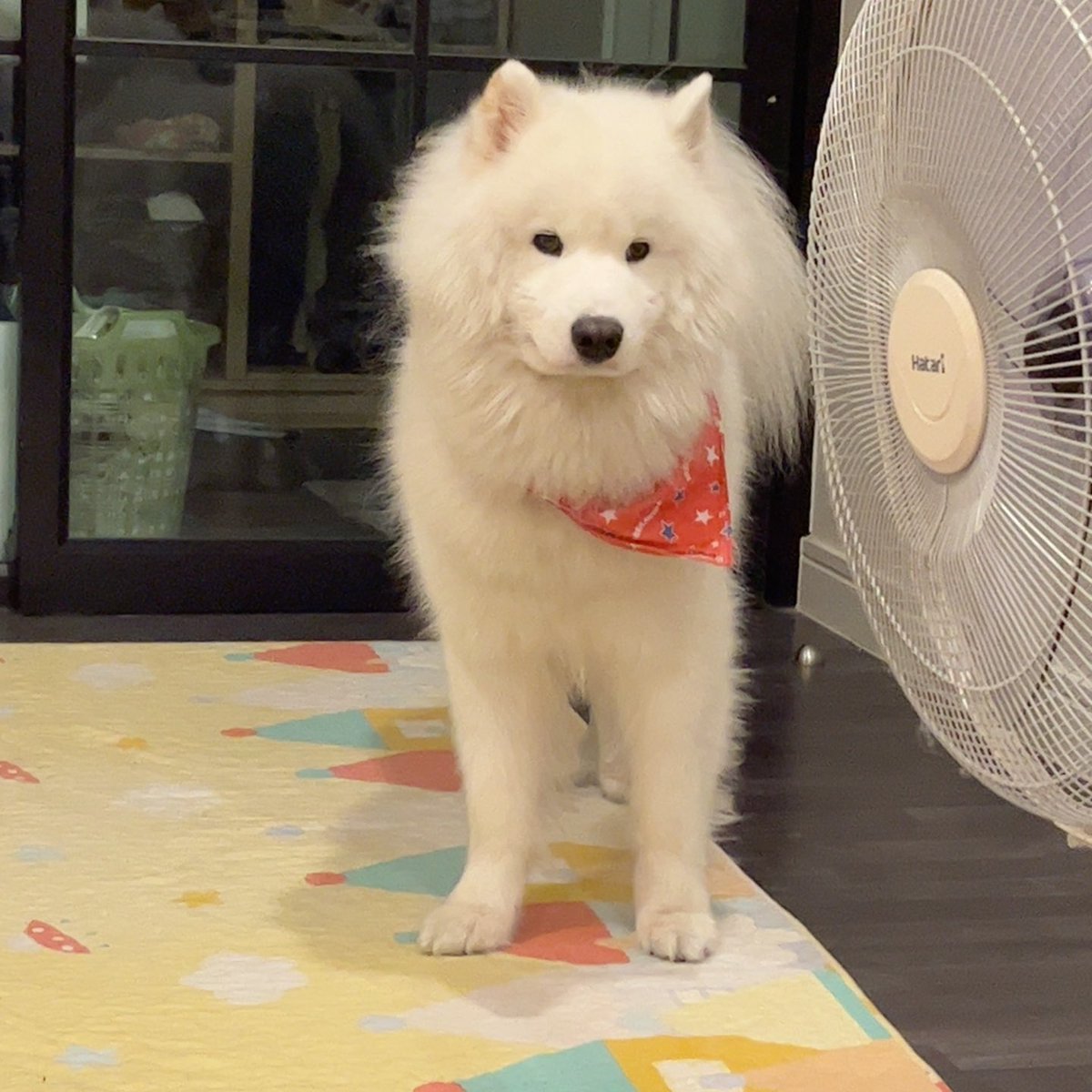 🐻‍❄️พอร์ชๆ 2 ขวบ แบ้วง้าบบ 🧁