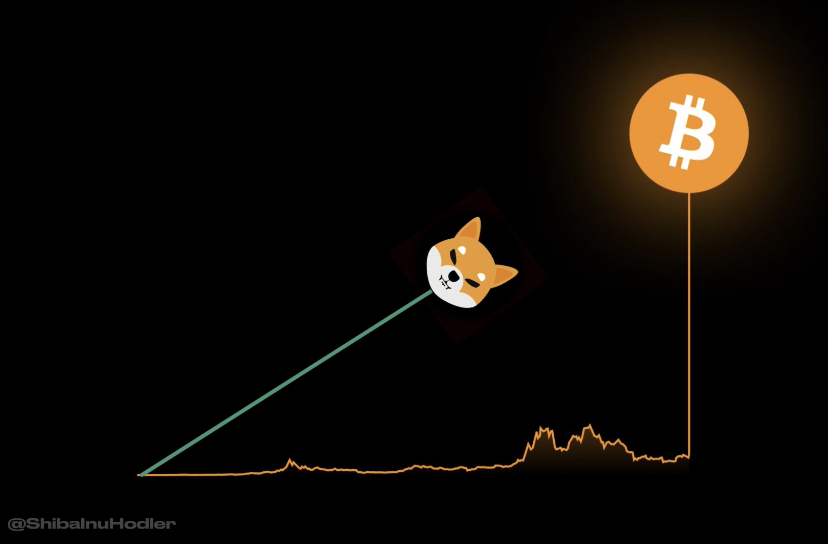 SHIB HODLER tweet media