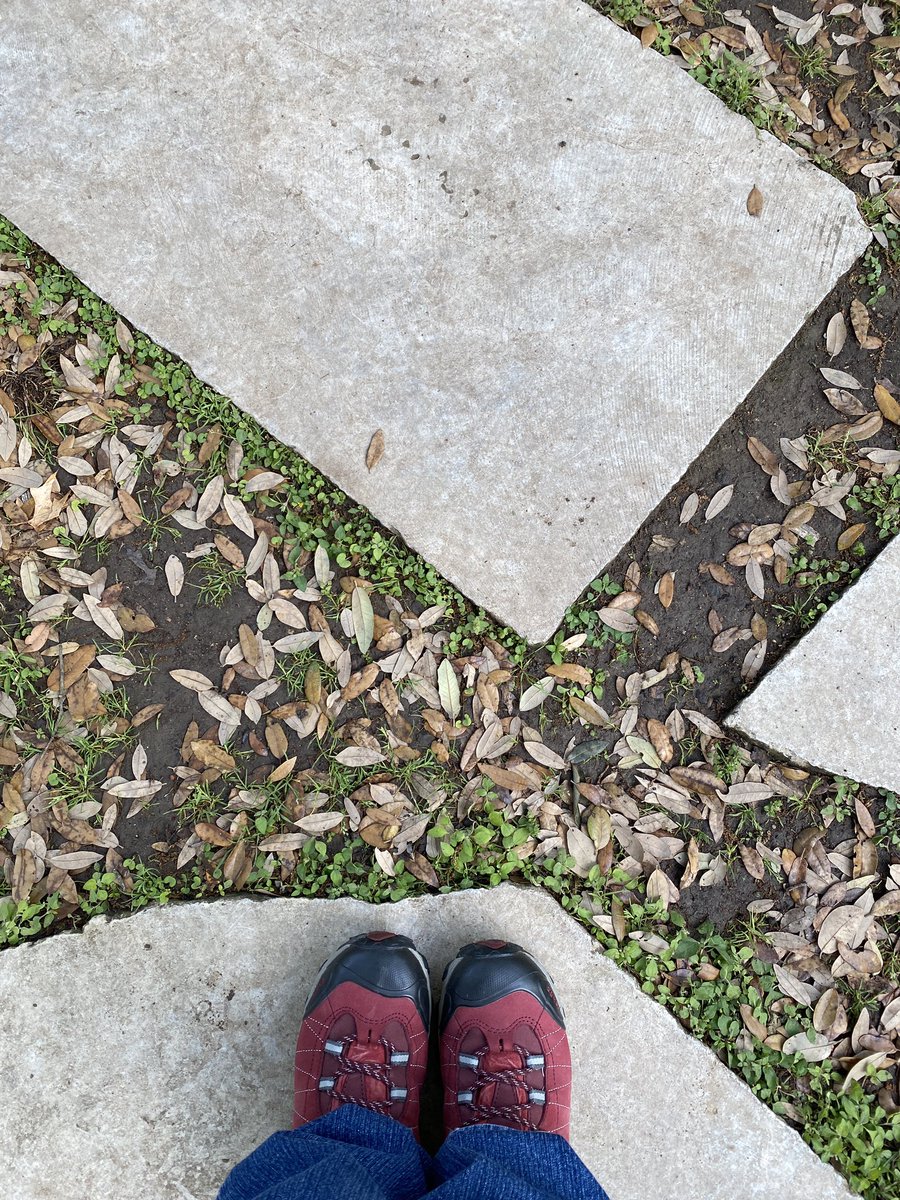 cschiraldi's tweet photo. Love &amp; Mercy

Peacocks on the roof

Dutch Bros coffee

Mayfield Park early light

Texas bluebonnets approaching peak

Red 🥾 outside today

How was your morning?

#NFTCommunity #tezos #tezoscommunity #WomenInNFTs #DutchBrothers #AustinTx https://t.co/0lKoFvwqi7