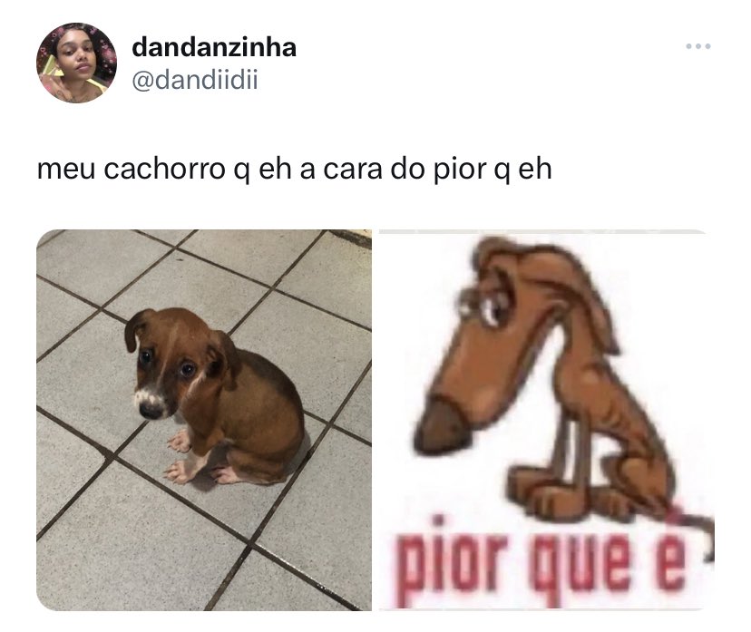 GMKrikor - Eu não sou cachorro não.