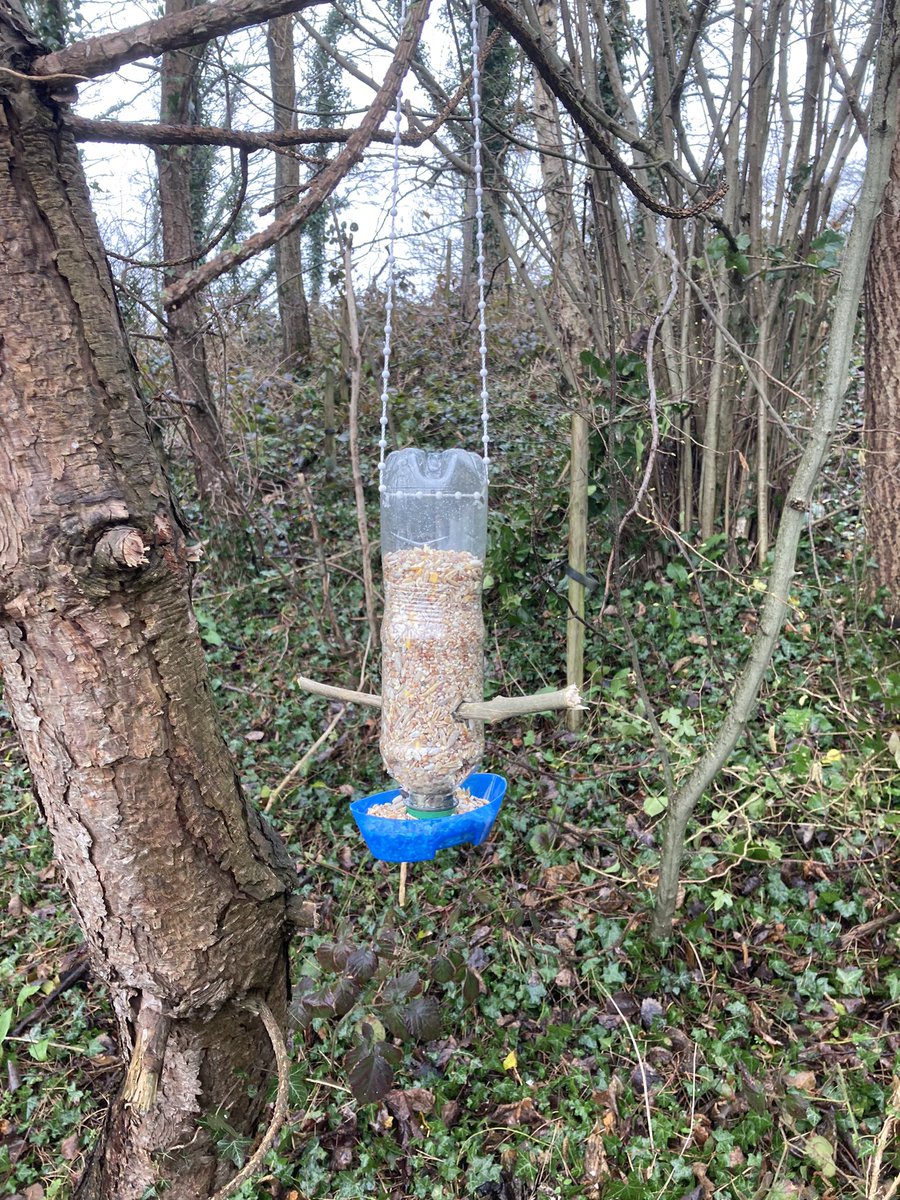 MatthewBaker tweet media