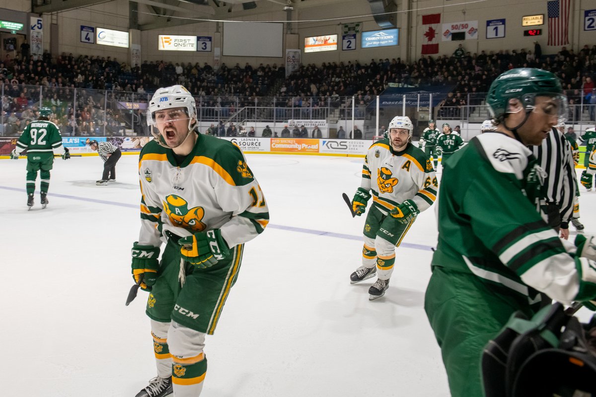 𝗡𝗔𝗧𝗜𝗢𝗡𝗔𝗟 𝗙𝗜𝗡𝗔𝗟 🐻🏒
It's a perfect day for a 17th <a href="/USPORTSca/">U SPORTS</a> title! <a href="/GBHKY/">Golden Bears Hockey</a> will take on <a href="/UNBAthletics/">UNB REDS</a> in the University Cup Final, in the next chapter of their rivalry.

📍 - Charlottetown, PEI
⏰ - 4:00 Pm MT
💻 - usports.ca/en/broadcast
📊 - presto-en.usports.ca/sports/mice/20…