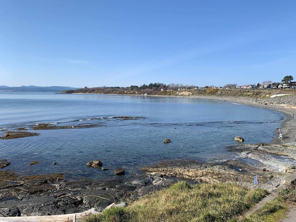 muddylaces's tweet image. It was a gorgeous spring day yesterday, so I headed outside for a road ride. Loads of people out enjoying the sun and warmth. #cycling #yyj #bikesarefun instagr.am/p/Cp-lQDiJAKU/