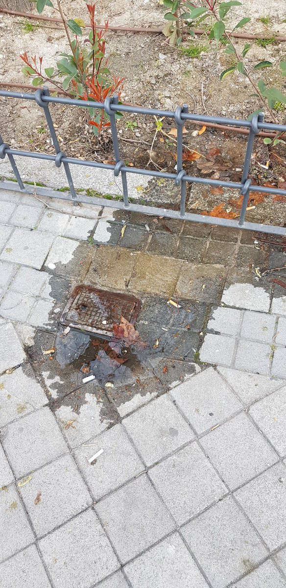 Julio_Alfonso's tweet photo. @Lineamadrid, boca de riego con fuga de agua en los jardínes frente al 134 del paseo de la Castellana https://t.co/br6NE5oc6A