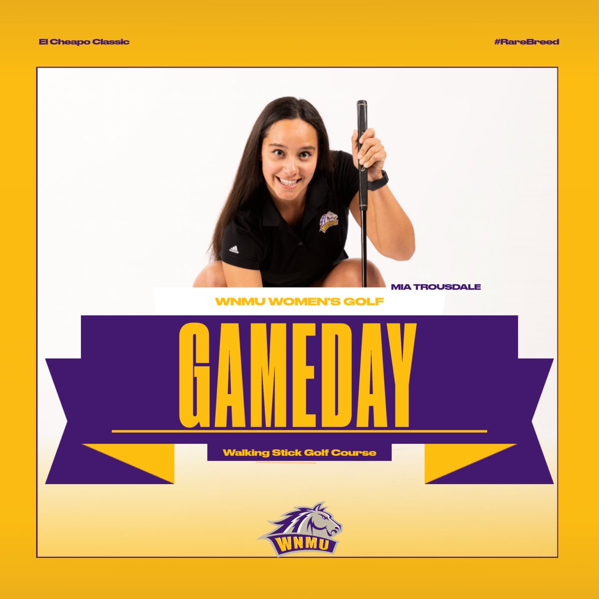 WNMUathletics's tweet photo. The ladies are ringin the cash register at the el cheapo🤑

📊: https://t.co/9ahJfX20iR #RareBreed https://t.co/eVa7PPJcZD