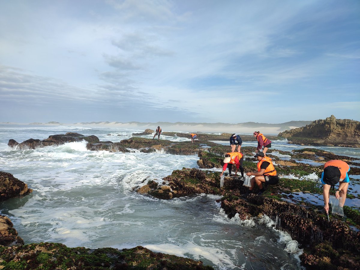 ImiseeProject's tweet photo. Day 1 of 7: The @ImiseeProject from @NRF_SAIAB started the week long field work with mussel collection at Kenton On Sea.

The weather did not disappoint🌊🌊🌊🌊🌊💙💙🥰🥰🥰 https://t.co/iQhagyGLu7