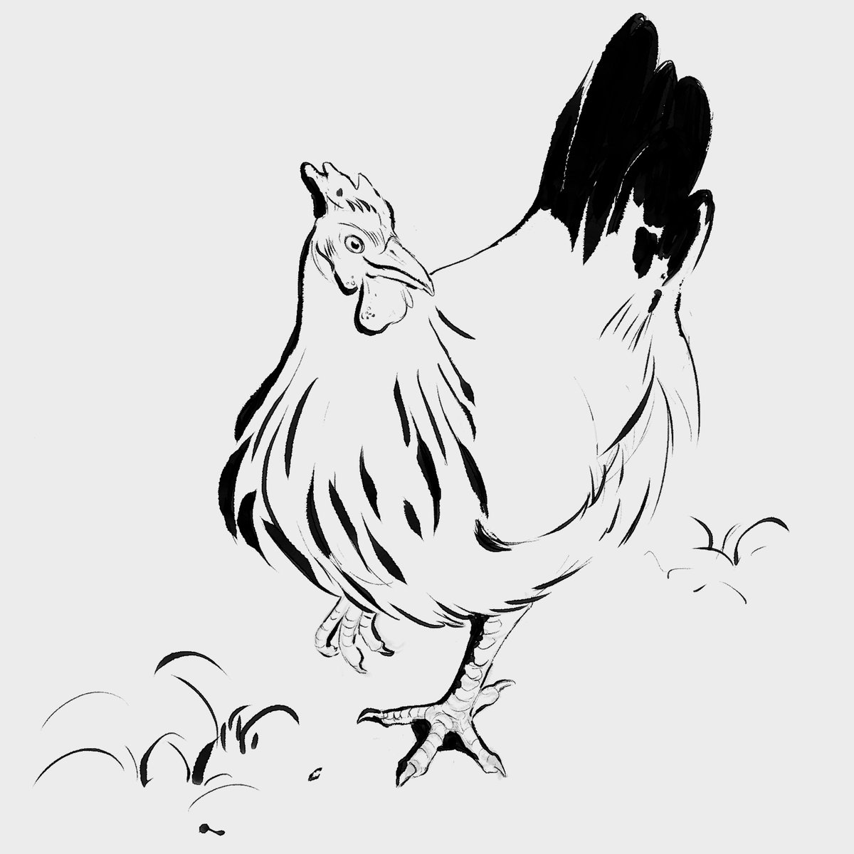 akhudorenko's tweet photo. Bird sketches! Drew these in #csp , loved the ink brushes there.

#drawing #sketch #sketchdaily #sketching #sketchbook #inkdrawing #creaturefriends #birb #birds #realartist #birblife #digitalart #drawing https://t.co/vXWDpRpjHh