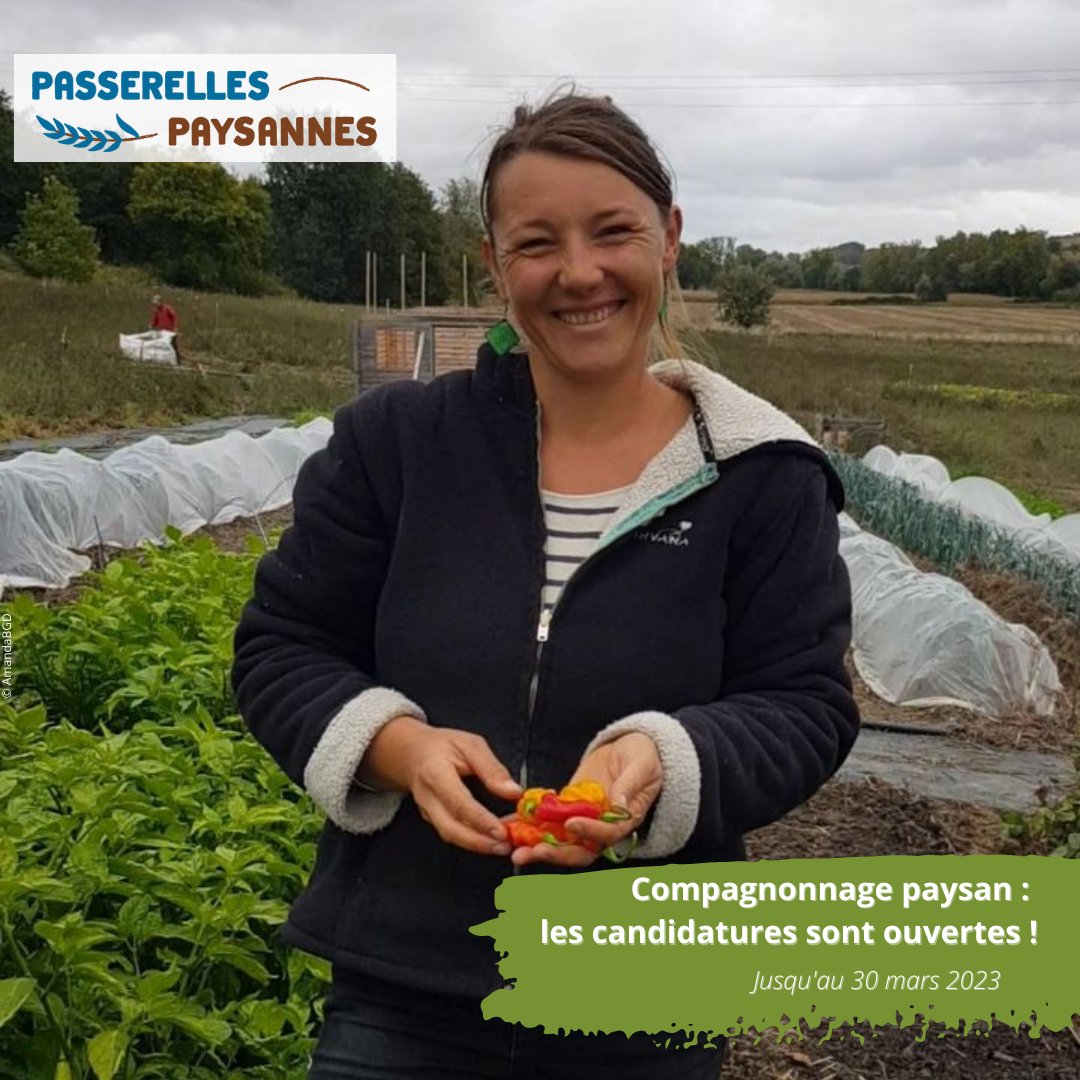 SOL_association's tweet photo. #Candidatez au #compagnonnage jusqu'au 30 mars ! Il reste encore quelques places pour les #stages gratuits au sein de fermes formatrices de notre réseau. Durant plus de 2 mois, vous serez accompagnés dans votre projet d’#installation par un #paysan tuteur👉https://t.co/AcuVvalvQ0 https://t.co/nM6tP1S24C