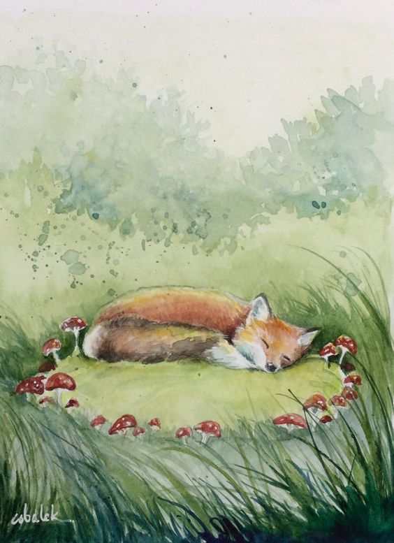 Fox in a fairy ring by Christy Obalek