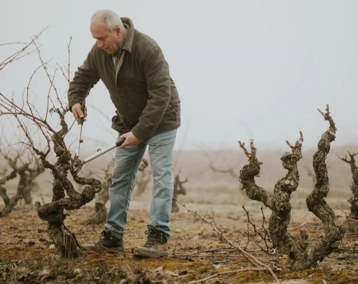 Luis Alberto Lecea, padre de esta familia 🍷

Trabajo, constancia, visión, emprendizaje y sobre todo, un amor puro por esta familia y por este proyecto que es #BodegasLecea
Gracias papá por ser motor, timón y barco ¡te queremos! 

¡Felicidades a todos los padres! 🧔
📸: @urkifree