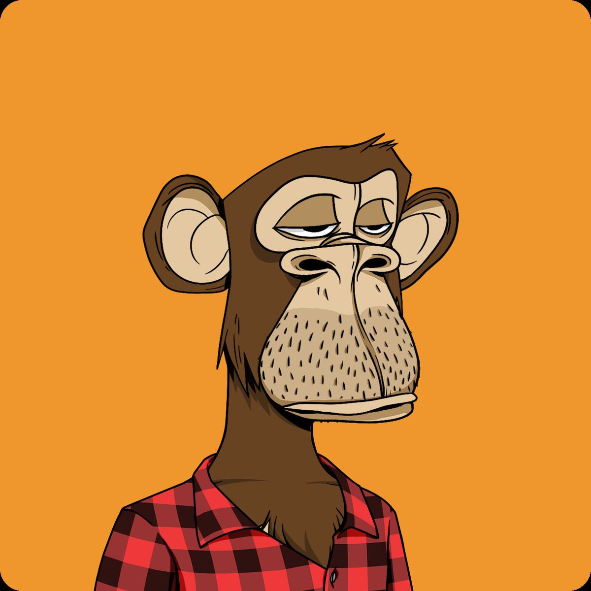 Colson988's tweet photo. Bored Ape Yacht Club. #BAYC @BoredApeYC https://t.co/Lex6LBFYux