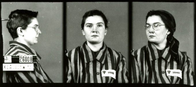 Muzeum Auschwitz tweet media